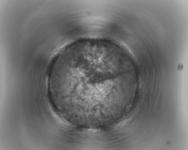 X0000094190542200711021031