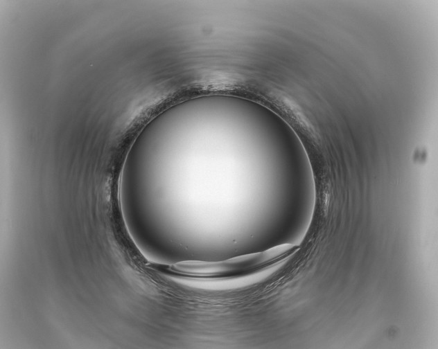 X0000094190543200711021031