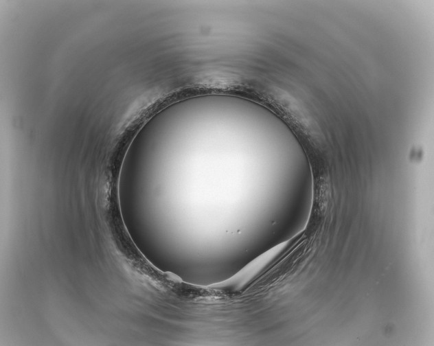 X0000094190544200711021031