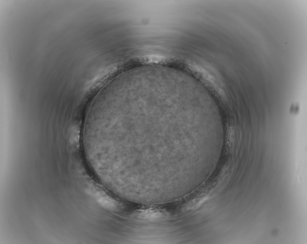 X0000094190545200711021031