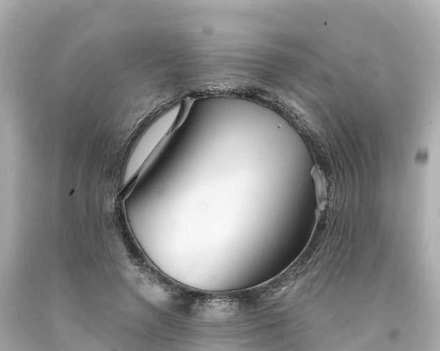 X0000094190546200711021031