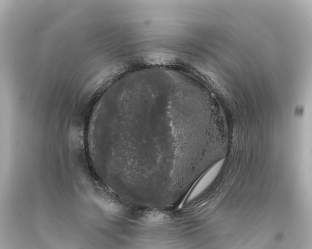 X0000094190547200711021031