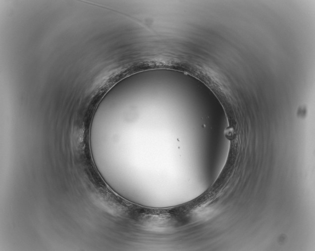 X0000094190548200711021031