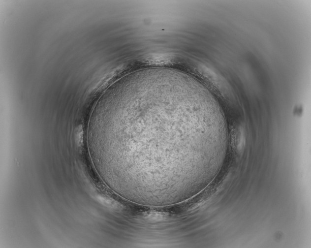 X0000094190549200711021031