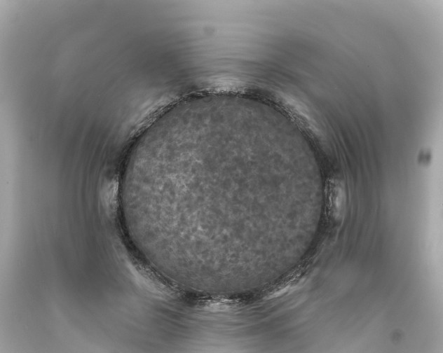 X0000094190550200711021031