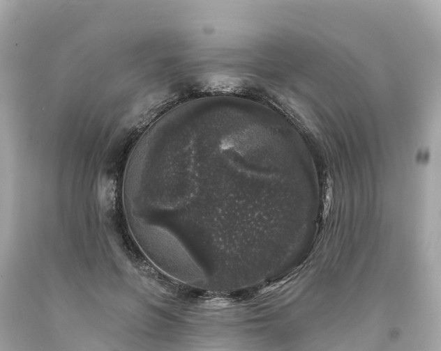 X0000094190551200711021031