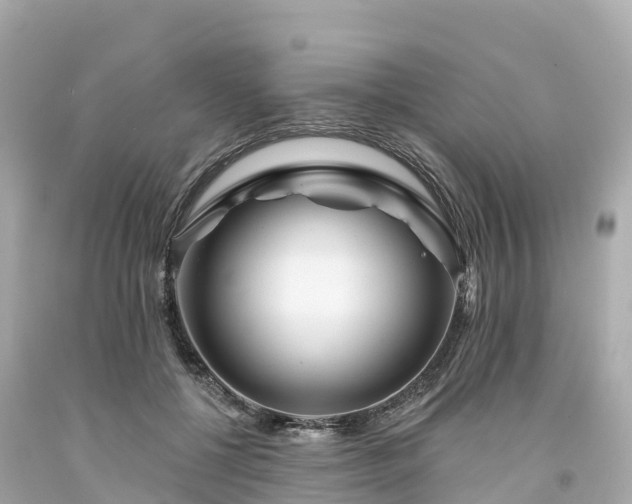 X0000094190552200711021031