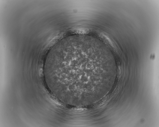 X0000094190553200711021031