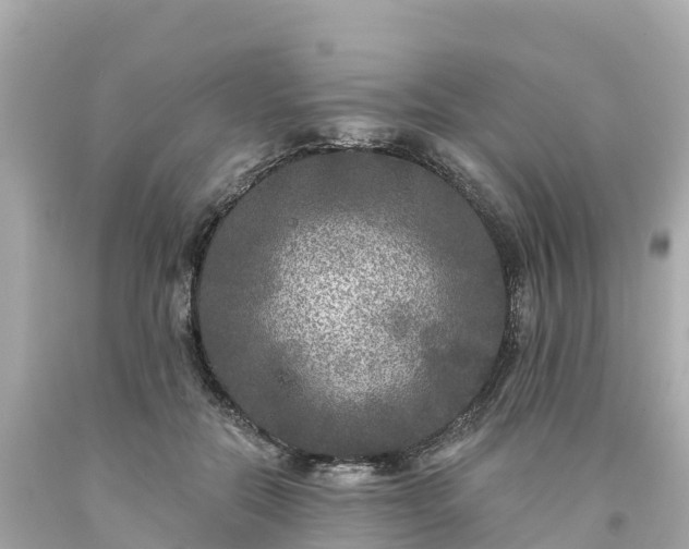 X0000094190554200711021031