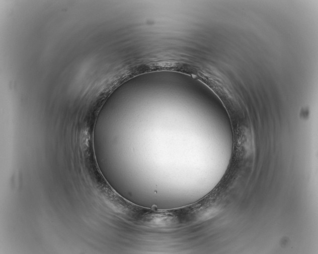 X0000094190555200711021031