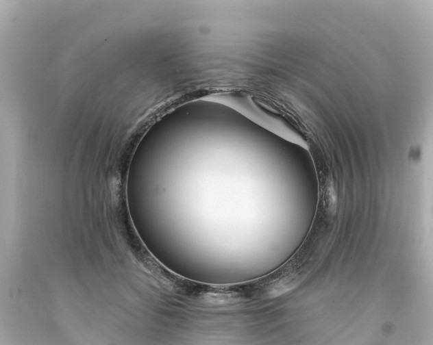 X0000094190556200711021031