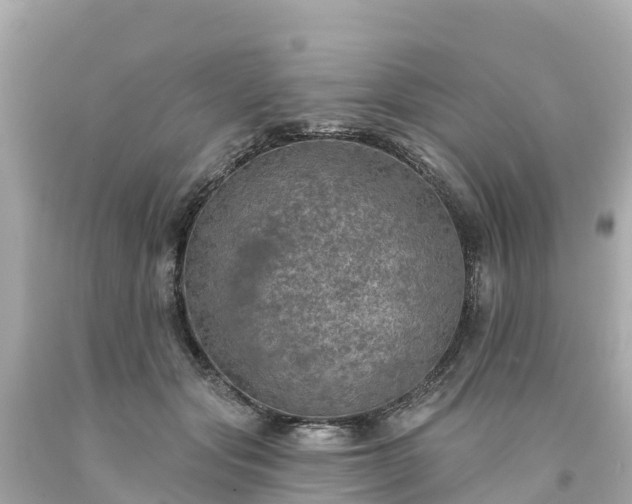 X0000094190557200711021031