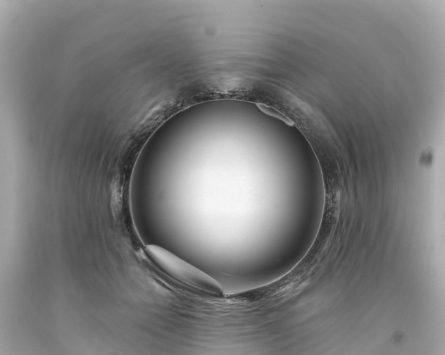 X0000094190558200711021031