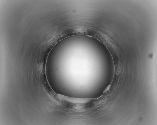 X0000094190560200711021031