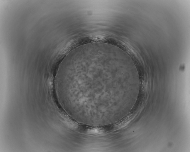 X0000094190561200711021031