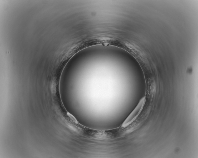 X0000094190562200711021031