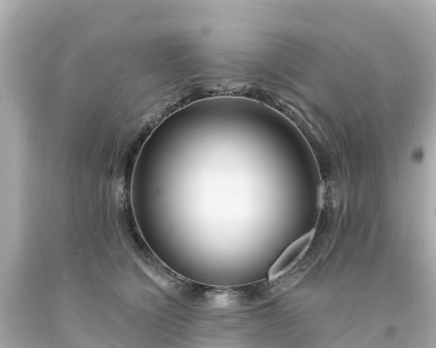 X0000094190564200711021031