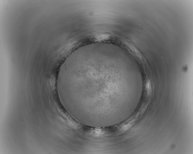 X0000094190565200711021031