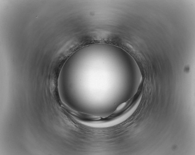 X0000094190566200711021031