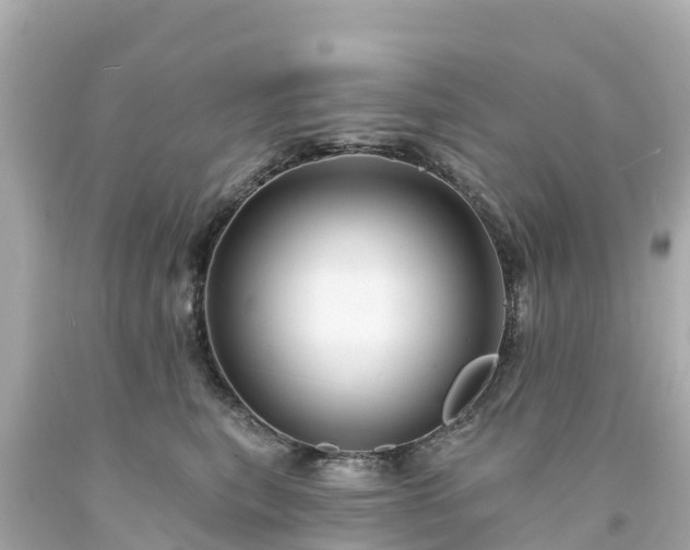 X0000094190567200711021031