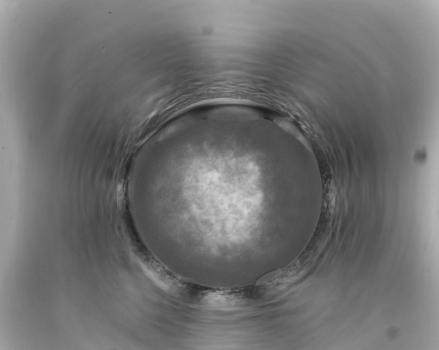 X0000094190568200711021031