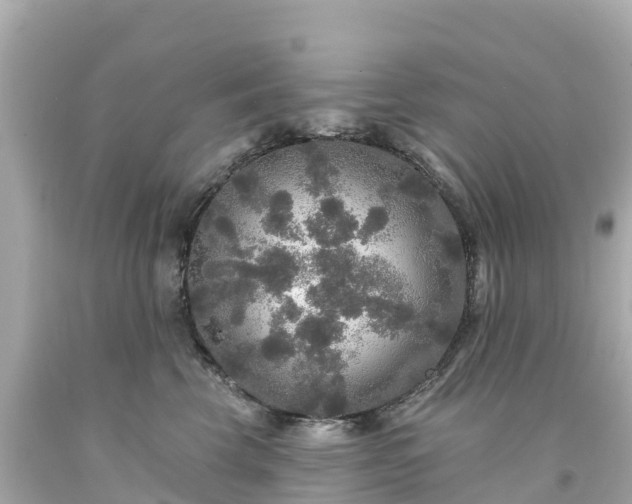 X0000094190569200711021031