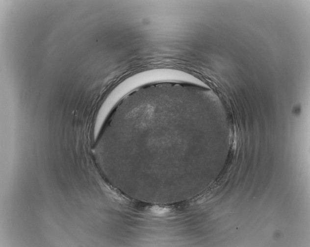 X0000094190570200711021031