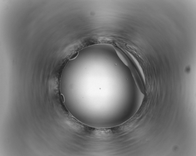 X0000094190571200711021031