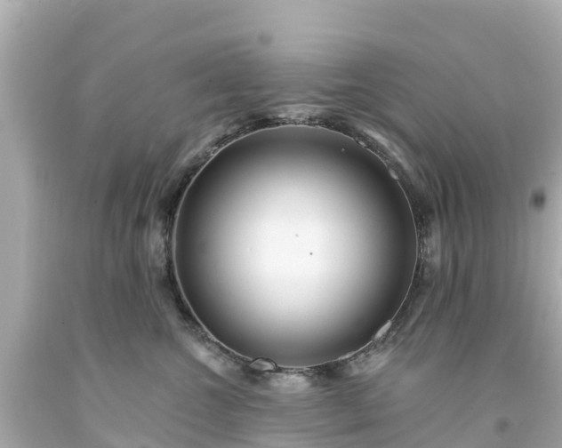 X0000094190572200711021031