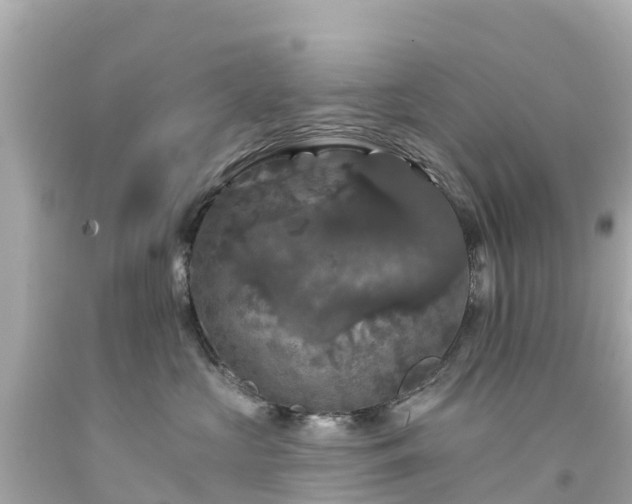 X0000094190573200711021031