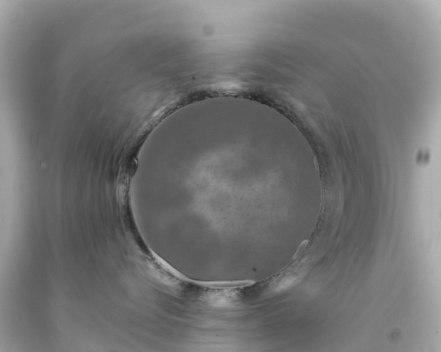 X0000094190576200711021031