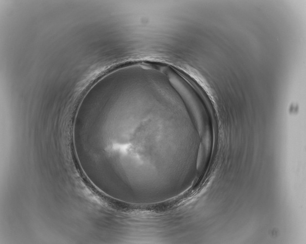 X0000094190577200711021030