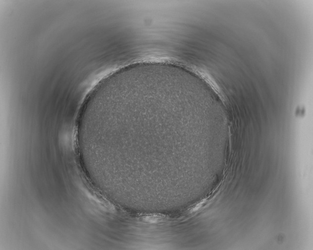 X0000094190579200711021030