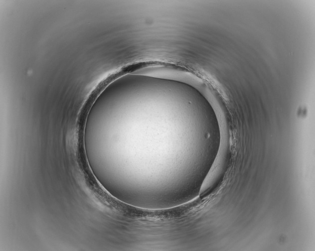 X0000094190580200711021030