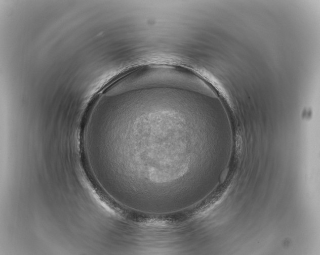 X0000094190581200711021030