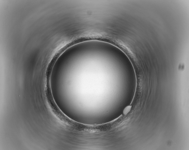 X0000094190582200711021030