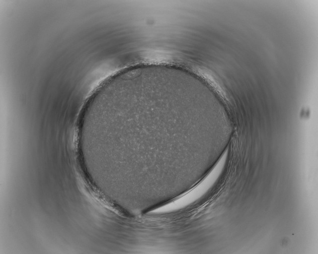 X0000094190583200711021030