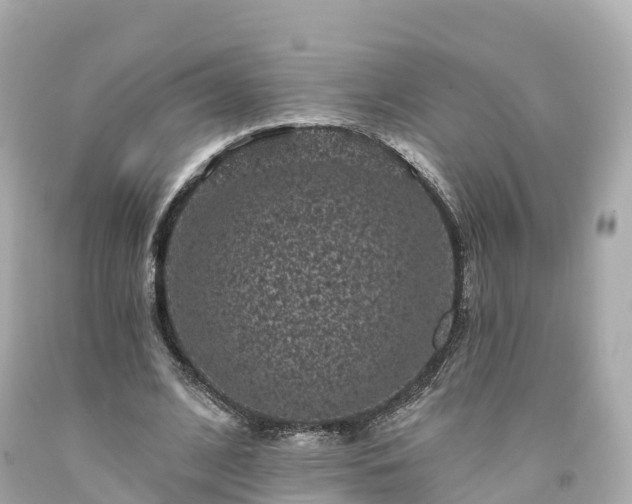 X0000094190584200711021030