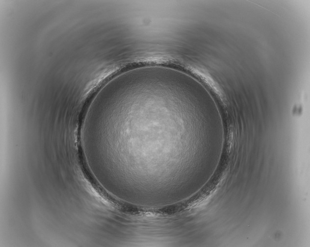 X0000094190585200711021030