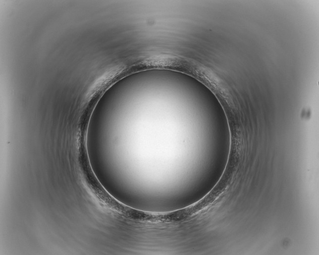 X0000094190586200711021030