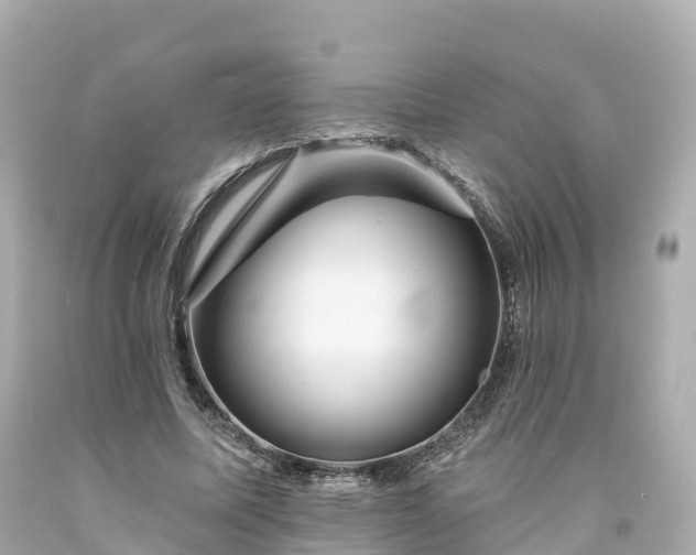 X0000094190587200711021030