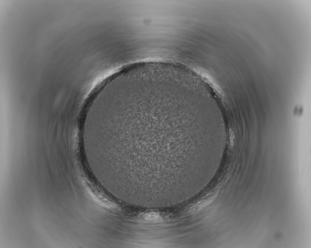 X0000094190588200711021030