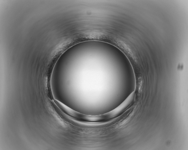 X0000094190589200711021030