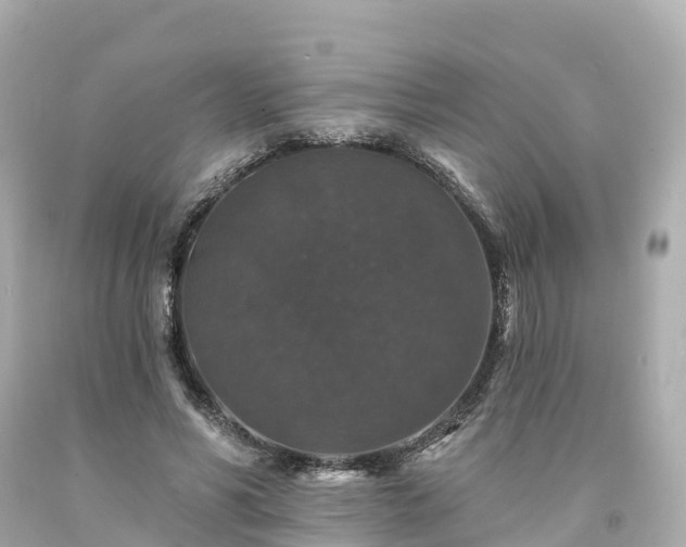 X0000094190590200711021030