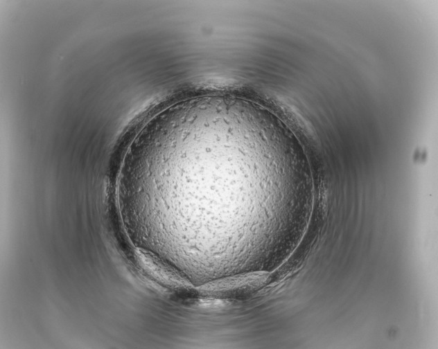 X0000094190591200711021030