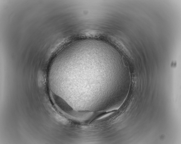 X0000094190593200711021030