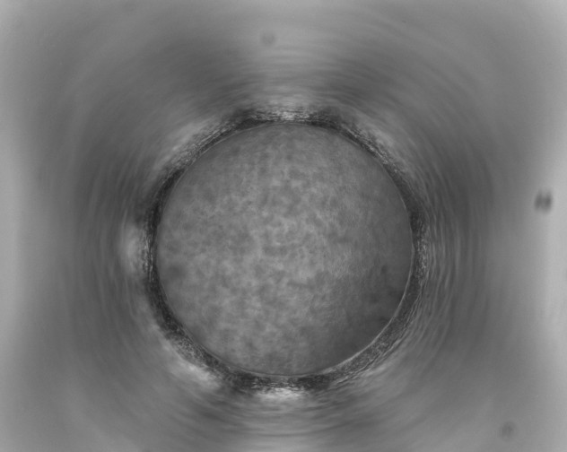 X0000094190594200711021030