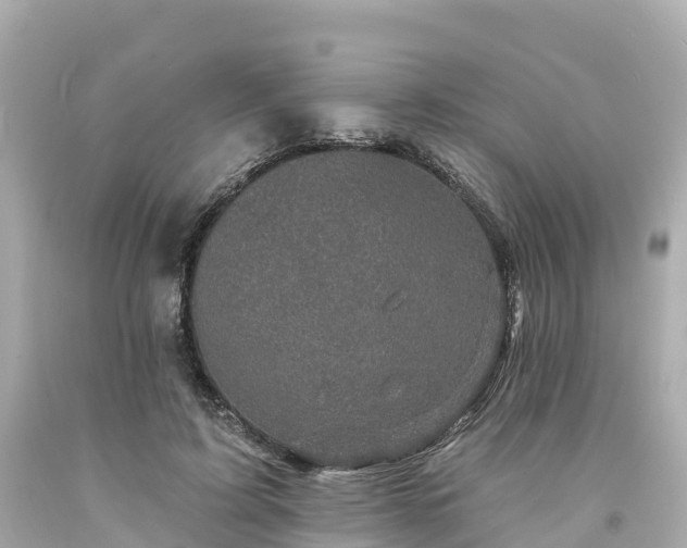 X0000094190595200711021030