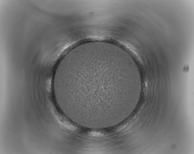 X0000094190596200711021030