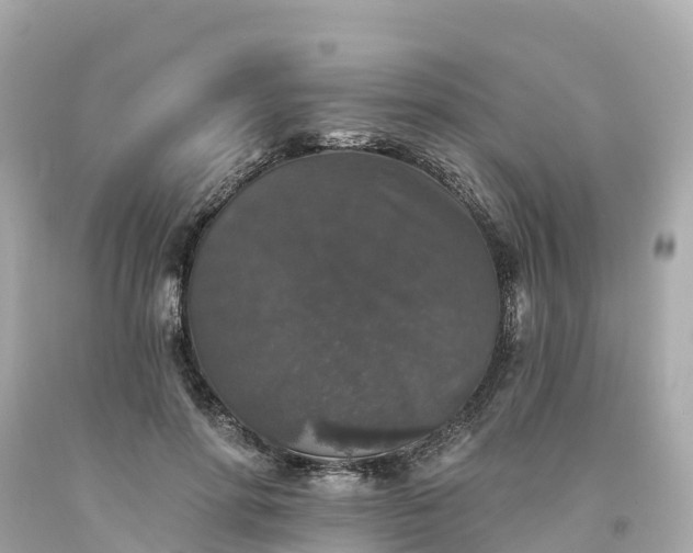 X0000094190598200711021030